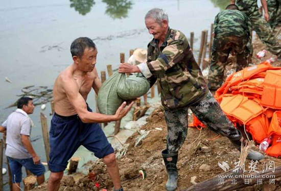 軍民協(xié)防，保衛(wèi)家園。20160713省武警部隊(duì)馳援高橋河河頭村截流港潰口。_副本.jpg