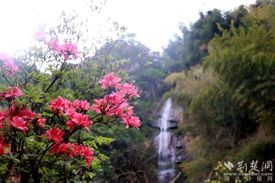 黃龍山頂，風(fēng)景如畫 黃錚 攝_副本.jpg.jpg